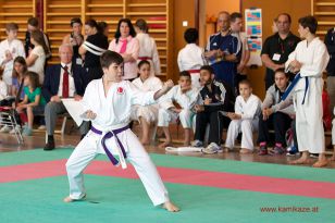 seibukan_Oesterr_Shotokan_Meisterschaft_StGeorgen_2014_028.jpg