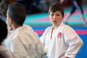 seibukan_Oesterr_Shotokan_Meisterschaft_StGeorgen_2014_029.jpg