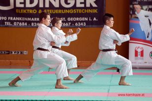 seibukan_Oesterr_Shotokan_Meisterschaft_StGeorgen_2014_044.jpg