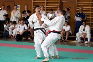 seibukan_Oesterr_Shotokan_Meisterschaft_StGeorgen_2014_139.jpg