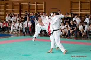 seibukan_Oesterr_Shotokan_Meisterschaft_StGeorgen_2014_146.jpg