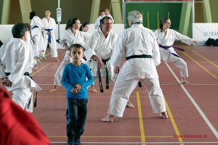 seibukan_Oesterr_Shotokan_Meisterschaft_StGeorgen_2015_014.jpg