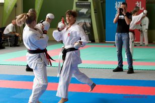 seibukan_Oesterr_Shotokan_Meisterschaft_StGeorgen_2015_124.jpg