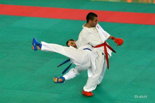 seibukan_Oesterreichische_Goju_Ryo_Shito_Ryu_Meisterschaft_Wien_2014_004.jpg