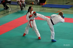 seibukan_Oesterreichische_Goju_Ryo_Shito_Ryu_Meisterschaft_Wien_2014_015.jpg