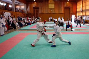 seibukan_Shotokan_Cup_2010_046.jpg