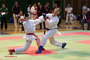 seibukan_Styrian_Open_Fuerstenfeld_2013_079.jpg