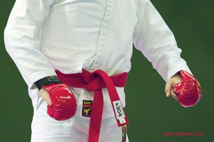 seibukan_Styrian_Open_Fuerstenfeld_2014_038.jpg