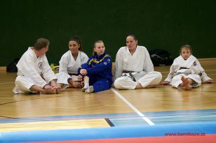 seibukan_Styrian_Open_Fuerstenfeld_2014_062.jpg