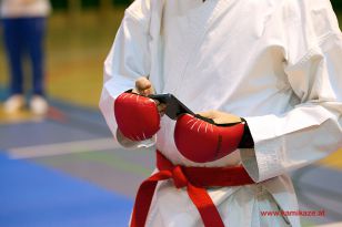 seibukan_Styrian_Open_Fuerstenfeld_2014_086.jpg