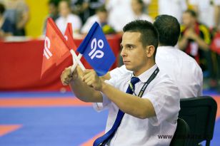 seibukan_Wado_Kai_EM_in_Budapest_2013_050.jpg