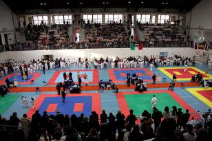 seibukan_World_Karate_Championship_italien_2016_015.jpg