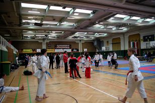 seibukan_19_Styrian_Open_2016_001.jpg