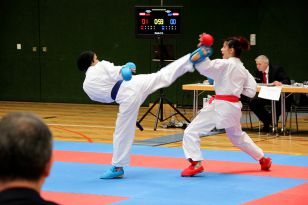 seibukan_19_Styrian_Open_2016_034.jpg