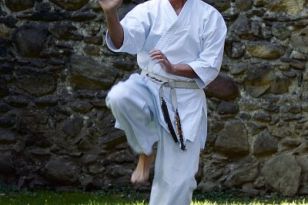 seibukan_3_Int_Karate_Sommercamp_Ravensburg_2015_082.jpg