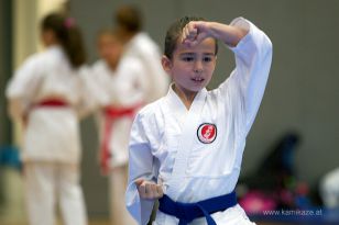 seibukan_Askoe_OOEKarate_Landesmeisterschaft_2013_016.jpg