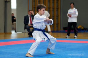 seibukan_Askoe_OOEKarate_Landesmeisterschaft_2013_064.jpg