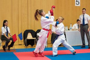 seibukan_Austian_Junior_Open_2013_102.jpg