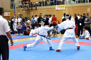 seibukan_Austrian_Junior_Open_2010_033.jpg