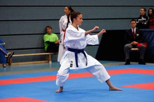 seibukan_Austrian_Karate_Champions_Cup_2010_016.jpg