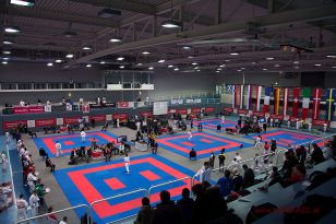 seibukan_Austrian_Karate_Championscup_2015_004.jpg