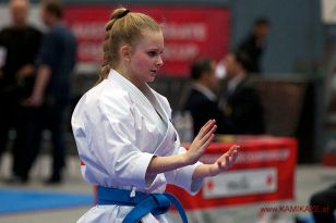 seibukan_Austrian_Karate_Championscup_2015_016.jpg