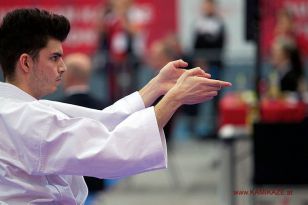 seibukan_Austrian_Karate_Championscup_2015_033.jpg