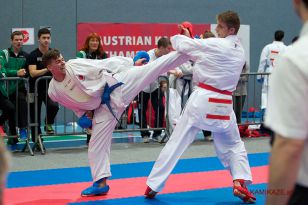 seibukan_Austrian_Karate_Championscup_2015_172.jpg