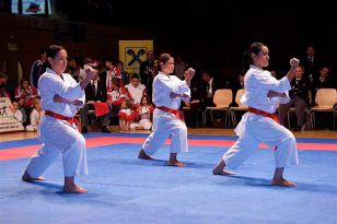 seibukan_Austrian_Open_Golden_League_2009_035.jpg