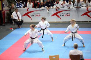 seibukan_ESKA_Shotokan_Europameisterschaft_in_Wels_2009_033.jpg