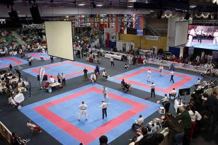 seibukan_ESKA_Shotokan_Europameisterschaft_in_Wels_2009_037.jpg