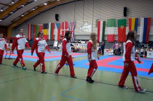 seibukan_Goju_Ryu_EM_Heilbronn_2014_013.jpg