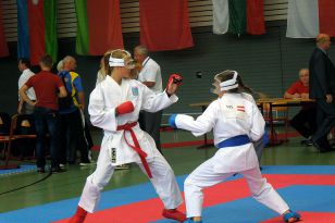 seibukan_Goju_Ryu_EM_Heilbronn_2014_066.jpg