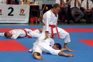 seibukan_Goju_Ryu_EM_Heilbronn_2014_095.jpg