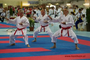 seibukan_Intern_Huegelland_Cup_2012_027.jpg