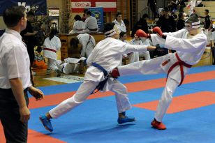 seibukan_Intern_Lions_Cup_Lustenau_2013_044.jpg