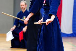 seibukan_JODO_Europameiserschaft_in_Linz_2013_100.jpg