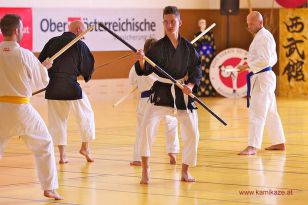 seibukan_KAMIKAZE_Sommercamp_Neuhofen_Krems_2012_045.jpg