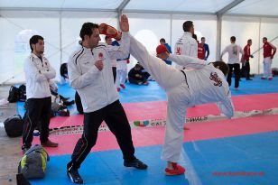 seibukan_Karate1_Premier_League_and_Youth_World Cup_Salzburg_2013_019.jpg