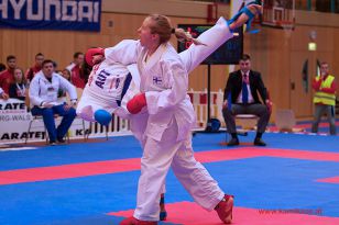 seibukan_Karate1_Premier_League_and_Youth_World Cup_Salzburg_2013_197.jpg