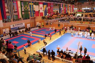 seibukan_Karate1_Premier_League_and_Youth_World Cup_Salzburg_2013_218.jpg