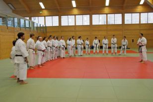 seibukan_Neue_Uebungsleiter_im_Dojo_Seibukan_Linz_2011_005.jpg