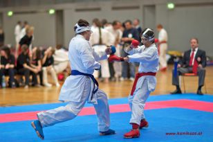 seibukan_OOE_LM_U10_U21_Senioren_Linz_Auhof_2012_092.jpg