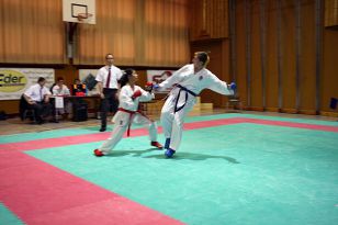 seibukan_Oesterr_Shotokan_Meisterschaft_2009_016.jpg