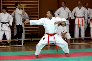 seibukan_Oesterr_Shotokan_Meisterschaft_2011_021.jpg