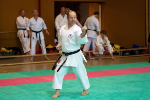 seibukan_Oesterr_Shotokan_Meisterschaft_2011_029.jpg