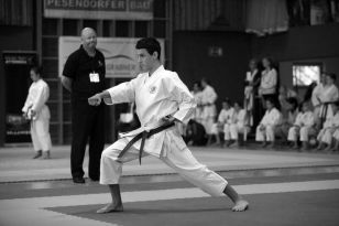 seibukan_Oesterr_Shotokan_Meisterschaft_2013_006.jpg