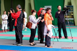 seibukan_Oesterr_Shotokan_Meisterschaft_StGeorgen_2015_030.jpg