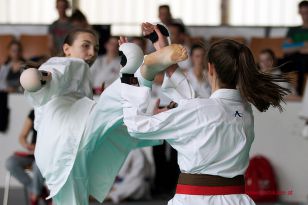 seibukan_Oesterr_Shotokan_Meisterschaft_StGeorgen_2015_112.jpg