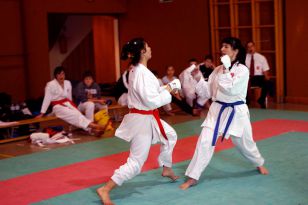 seibukan_Shotokan_Cup_2010_050.jpg